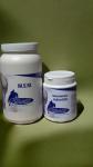 msm glucosamine